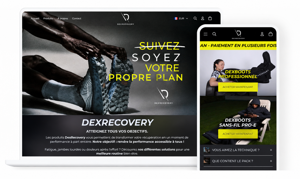 Site Dex Recovery sur ordinateur et mobile